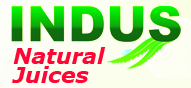 Indus Research Labs Logo